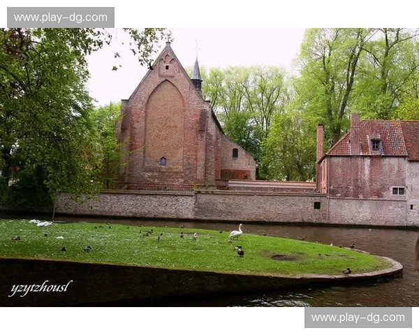 比利时足坛双雄:布鲁日与欧本的绿色较量,荣耀与梦想的交织